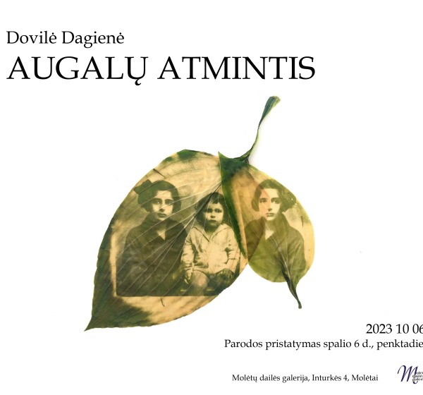 Dovilės Dagienės parodos „Augalų atmintis“ atidarymas