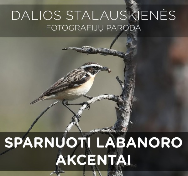 Dalios Stalauskienos fotografijos paroda „Sparnuoti Labanoro akcentai“