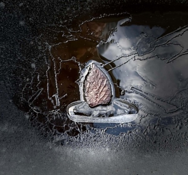 Ritos Pumputienės fotografijų paroda „Vėjo sapnas“