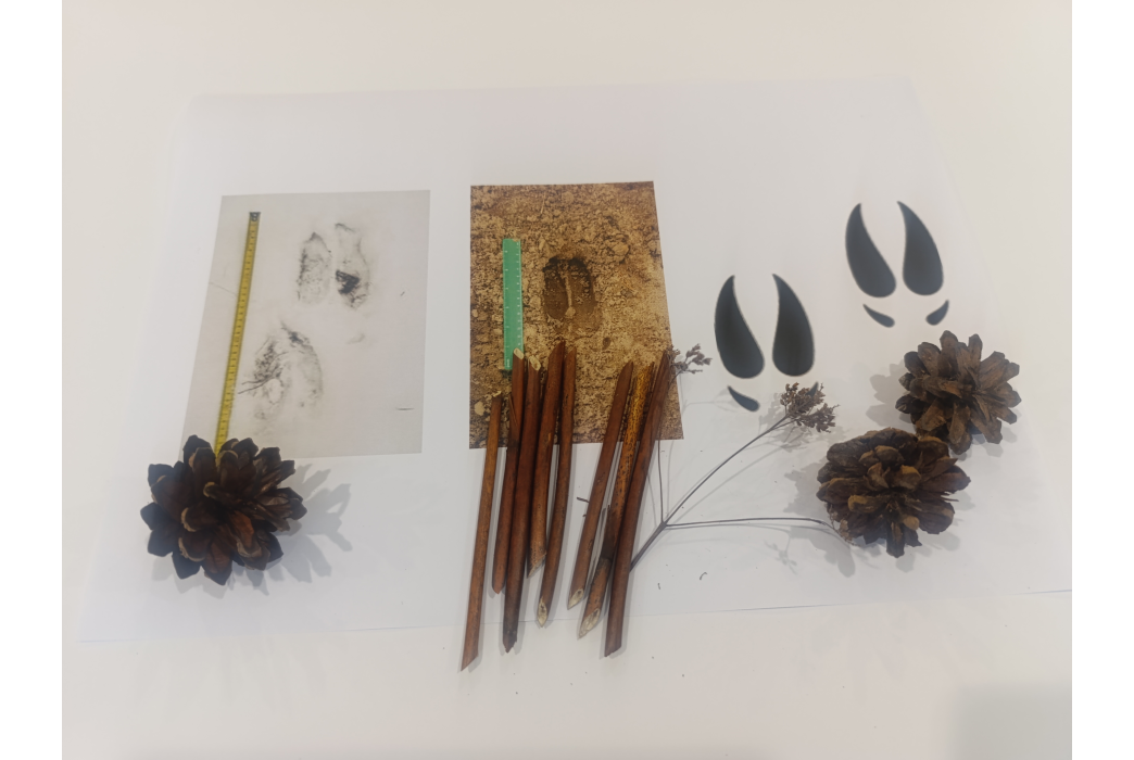 „Gyvūnai ir jų ženklai“ pažintinė ekskursija KULTŪROS PASO EDUKACIJA