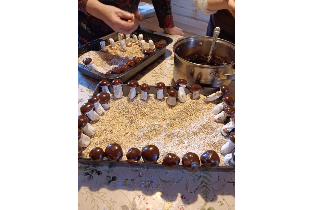 Edukacinė programa „Labanoro girios grybukai“